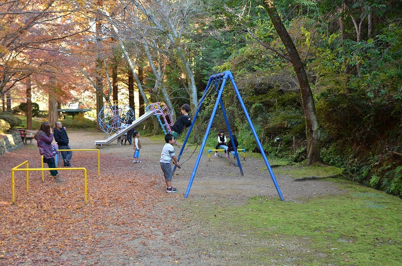孫たちは杉村公園にて遊んでます １１月２５日 ゴル爺 ごるままのフォト日記