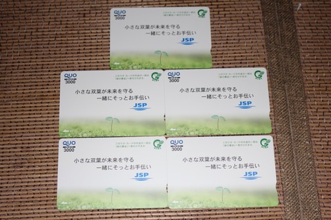 IMG_1284 - コピー