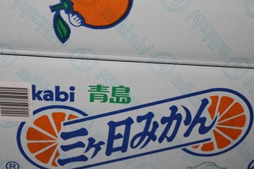 IMG_4982 - コピー