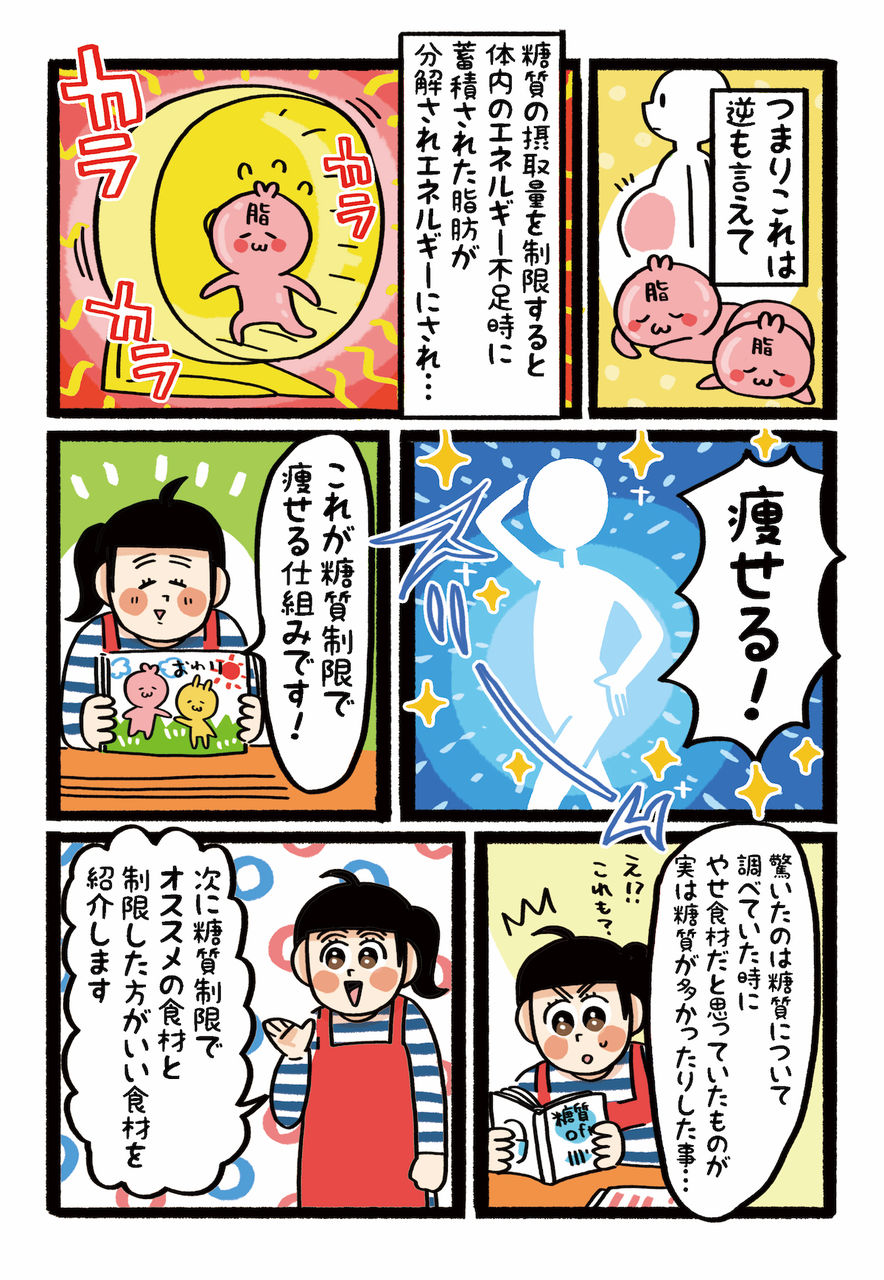 この私が痩せるだと 糖質制限で何で痩せるの おいしいまいにち Powered By ライブドアブログ