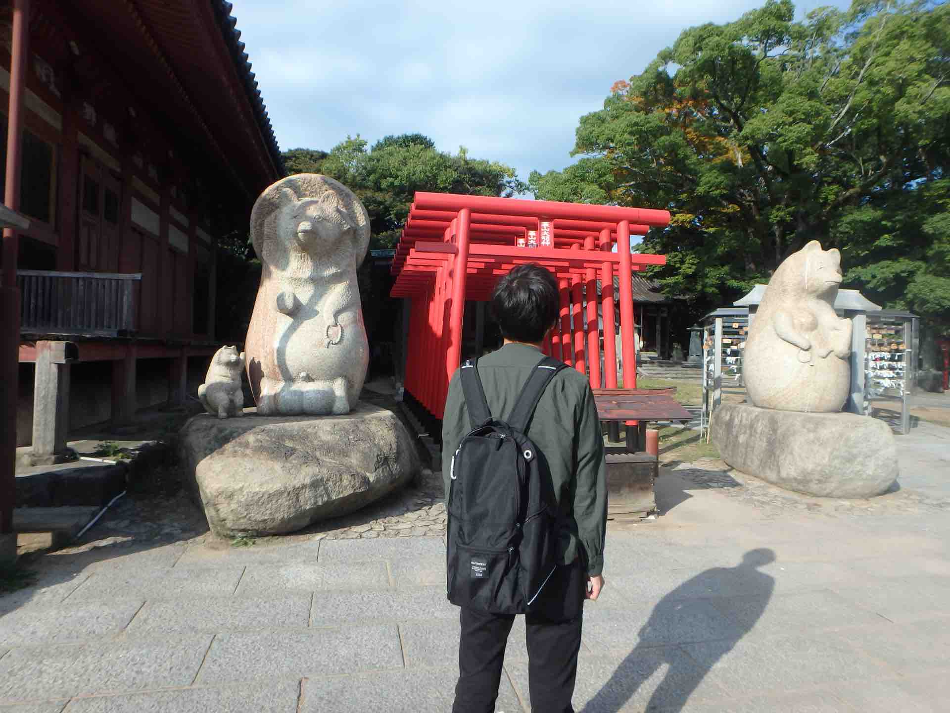 香川県 平成たぬき合戦 時を超えた狸の恩返し 屋島 ごまとめぐるぐる