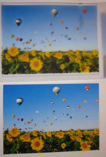 気球と向日葵(トレペプリント