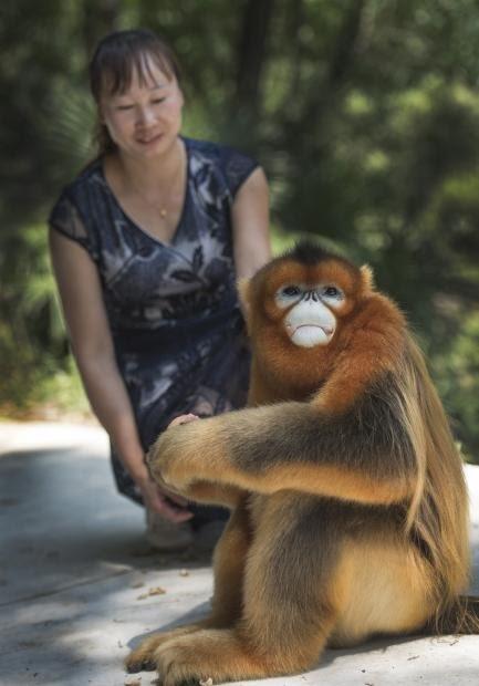 �v�킸�������ځE�摜�EAA�EHP�EFLASH�� ����191 YouTube����>4�{ ->�摜>428�� 