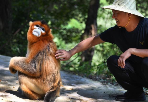 �v�킸�������ځE�摜�EAA�EHP�EFLASH�� ����191 YouTube����>4�{ ->�摜>428�� 