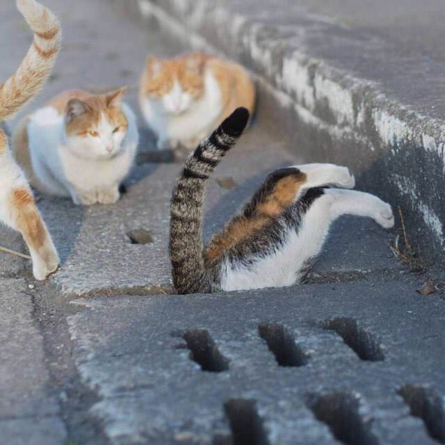 no title