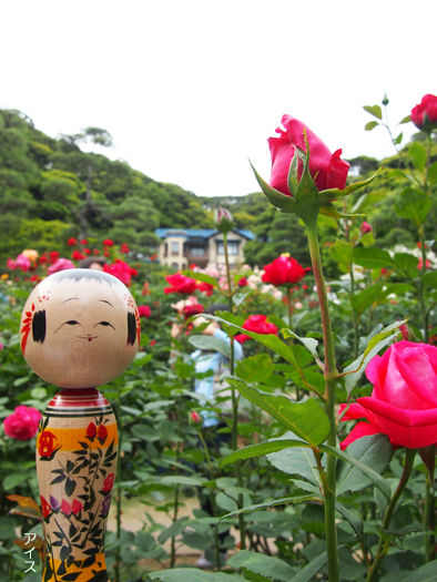 文学館