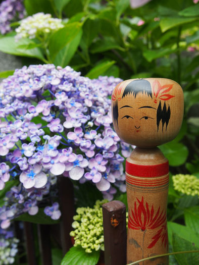 紫陽花2