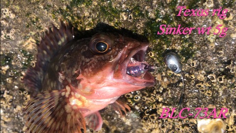 ヤマガブランクス ブルーカレント 73オールレンジTZ/NANO プロフェッサー BlueCurrent 73 All-Range TZ/NANO PROFESSOR “ELITE” | YAMAGA