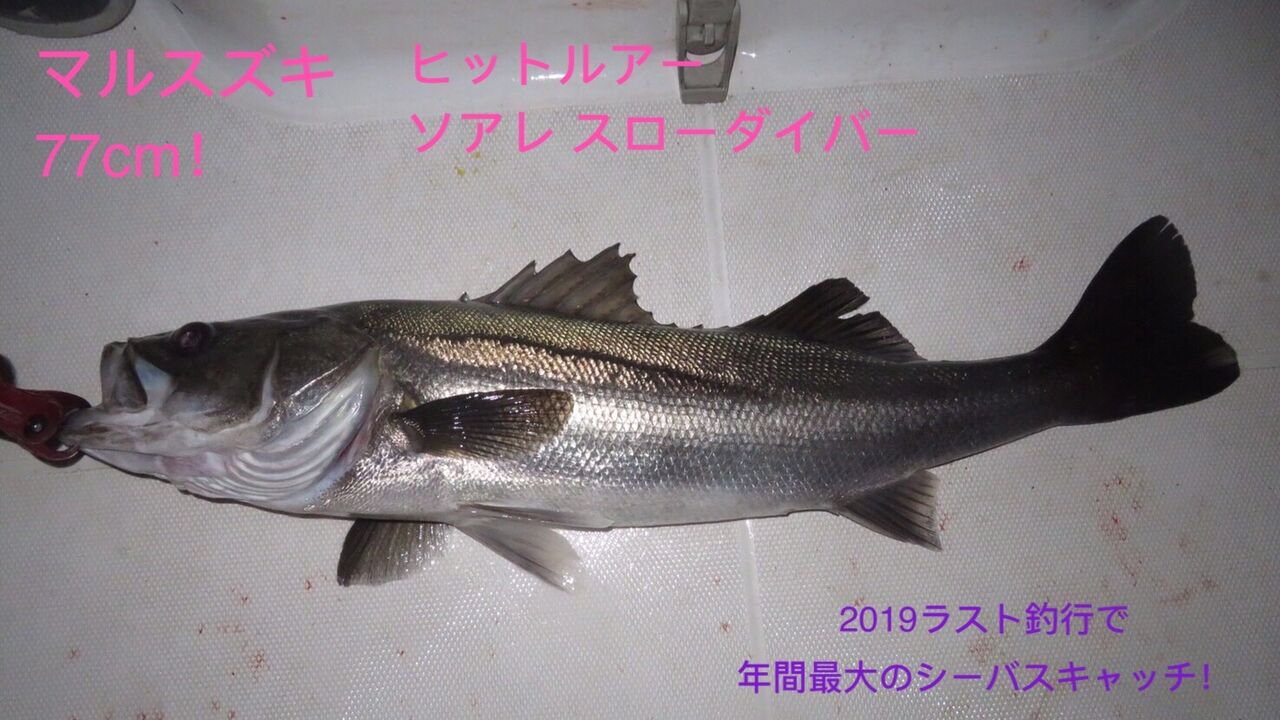 ロッド｜インプレ】19 月下美人 Air AGS 68L-T・R 〜 りんたこさん監修