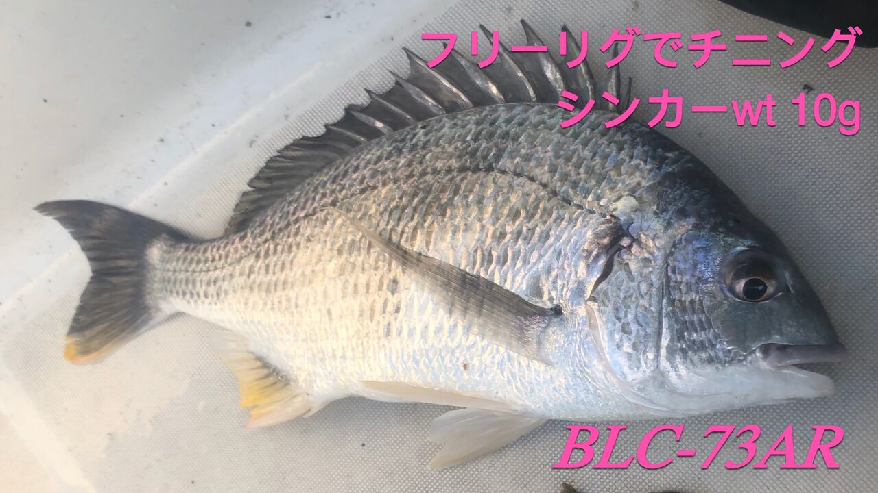 ロッド｜インプレ】（その2）18 BlueCurrent 73 All-range TZ