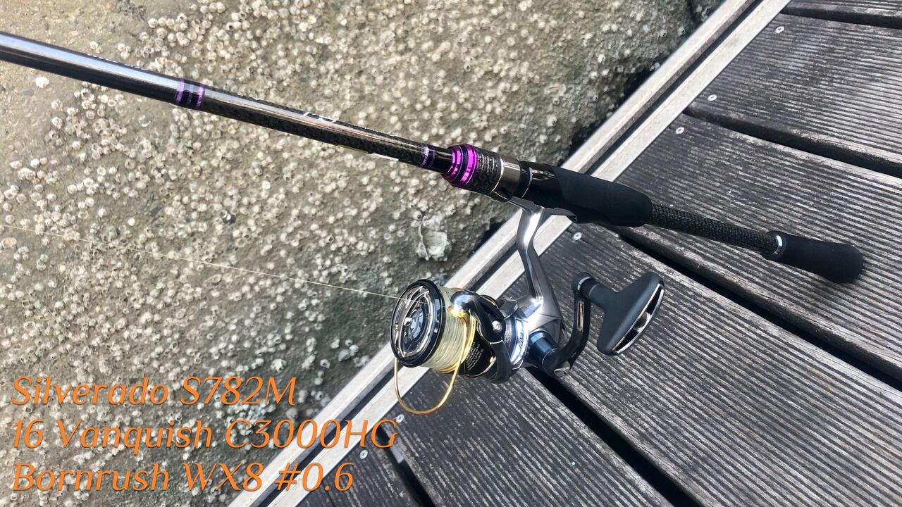 雑記 最近のチニングタックル Rod And Reel 編 Gomoku釣りブログ