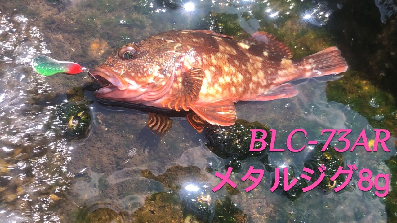 ロッド｜インプレ】（その2）18 BlueCurrent 73 All-range TZ