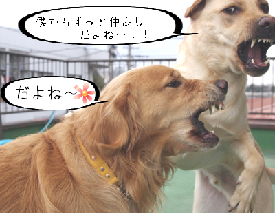BlogPaint
