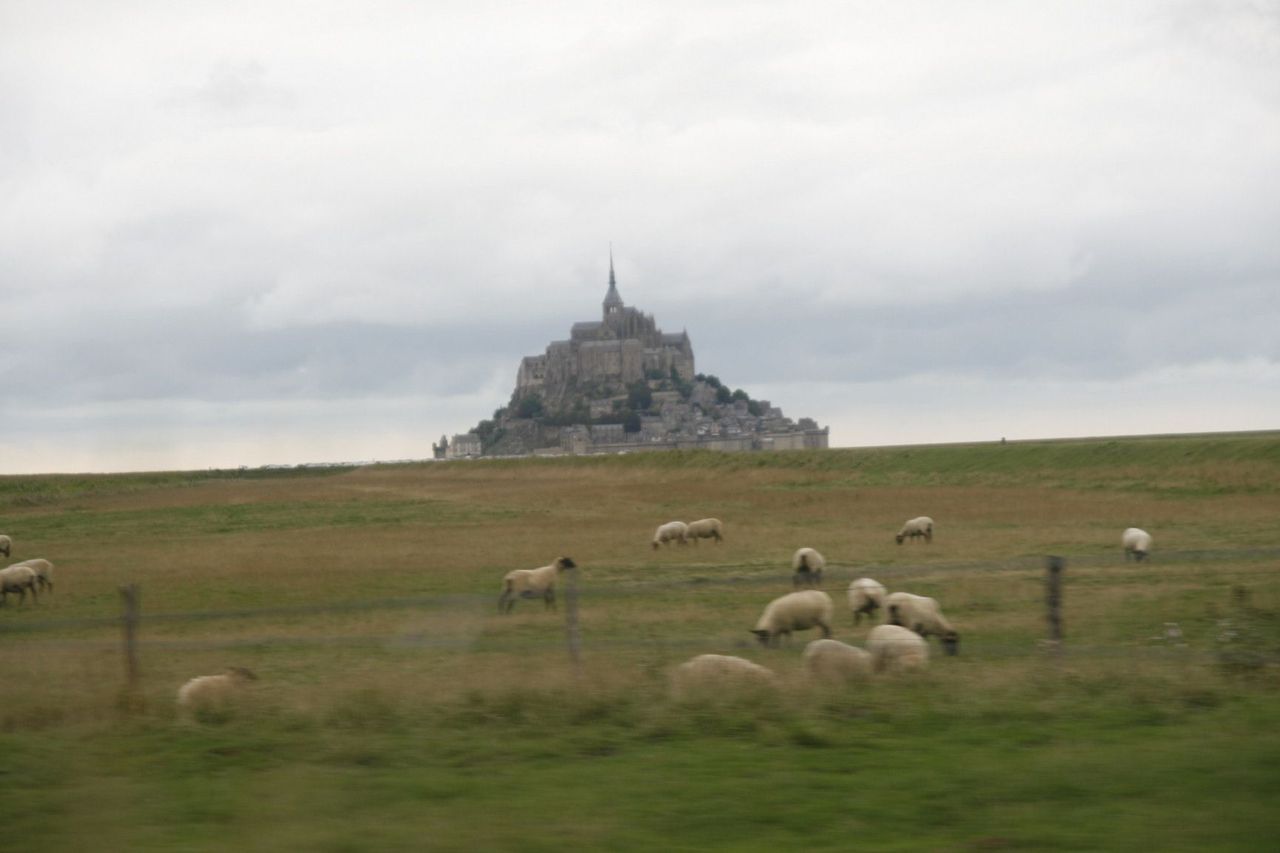 世界の街を診断する フランスは農業国 地域振興と国際貢献を考える中小企業診断士のブログ 世界の街を診断する フランスは農業国 地域振興と国際貢献を考える中小企業診断士のブログ