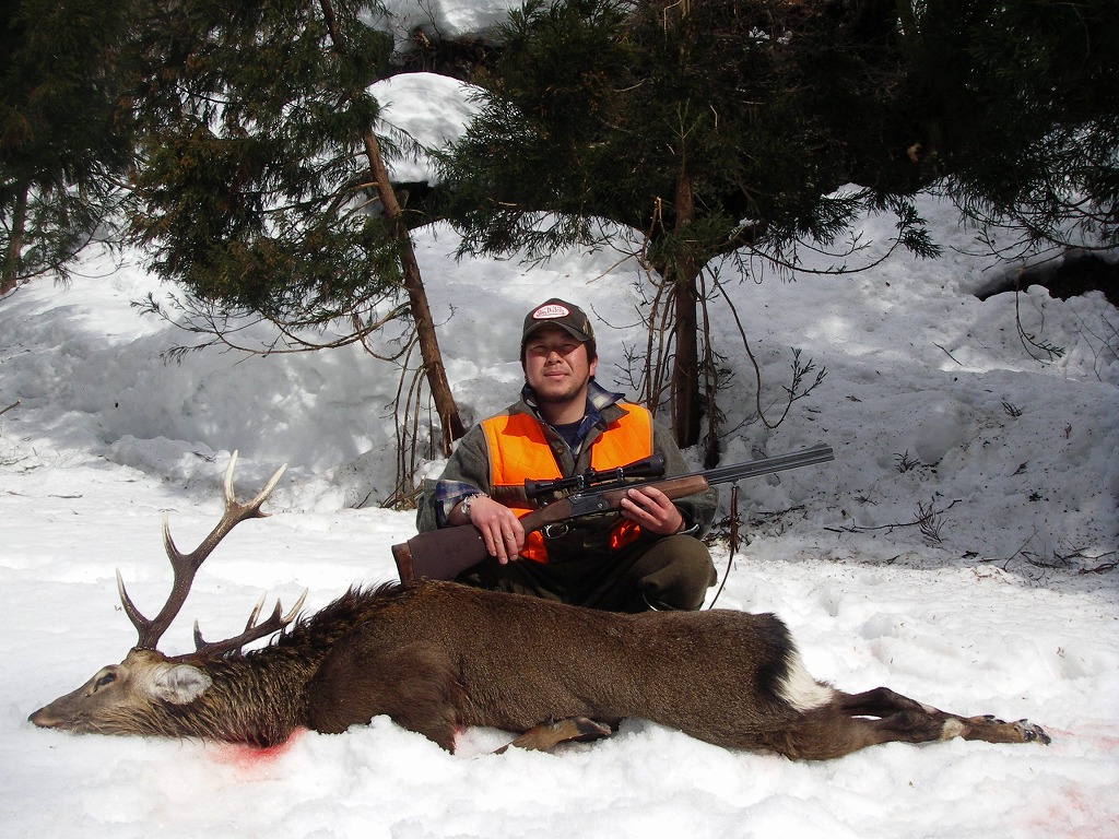 鹿の解体 ごんちゃま 奮闘記