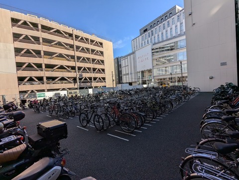 PXL_20241125_024816453