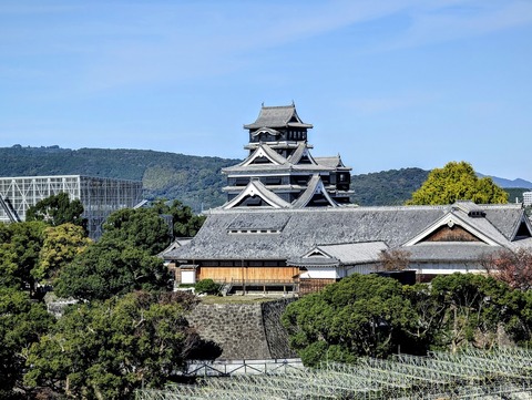 PXL_20241125_023815571~2