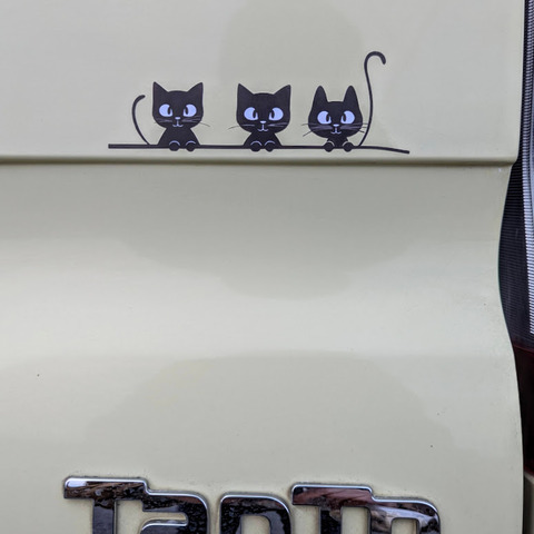 PXL_20250111_044456635