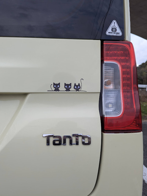 PXL_20250111_044448727