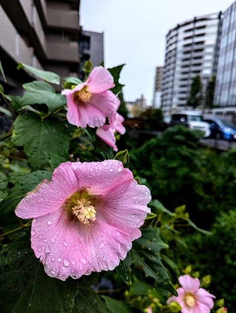 PXL_20241022_022946887