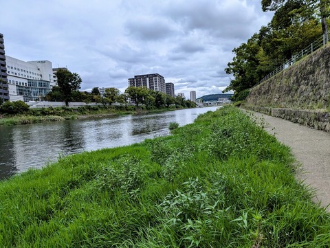 PXL_20241008_031210728~2