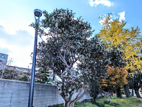 PXL_20241204_015841940-EDIT