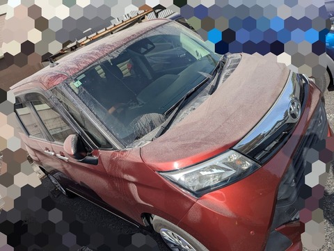 PXL_20251116_013043433