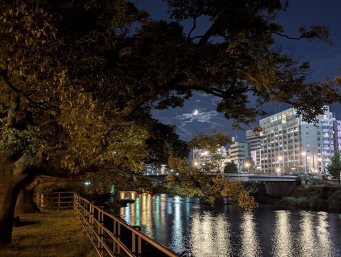 PXL_20241008_105800679.NIGHT