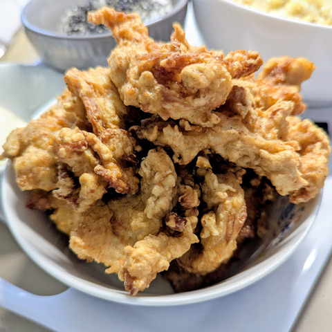 PXL_20251009_041130055~2