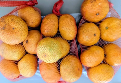 PXL_20251111_053113923~2