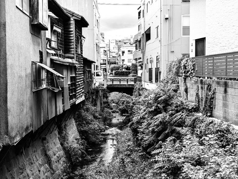 PXL_20241008_030710500