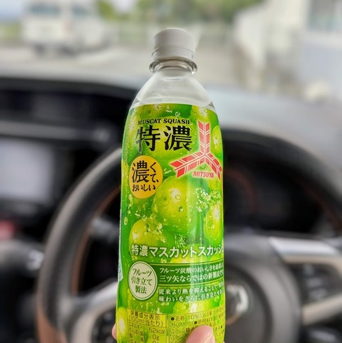 PXL_20251003_025456891~2