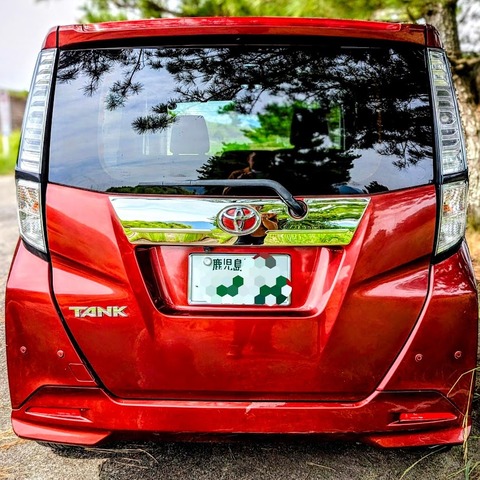 PXL_20251003_011454427~3