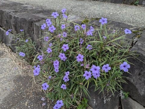 PXL_20241008_032512423