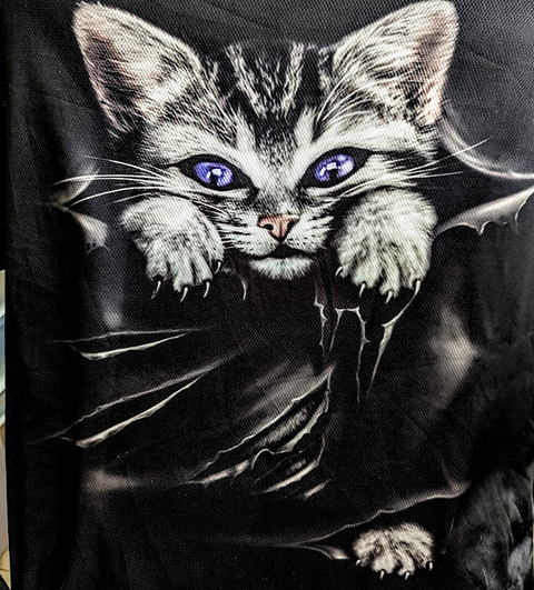 PXL_20250508_013847026~2