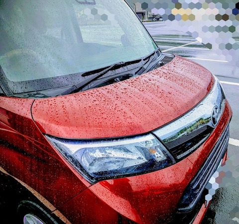 PXL_20251108_231256060~3