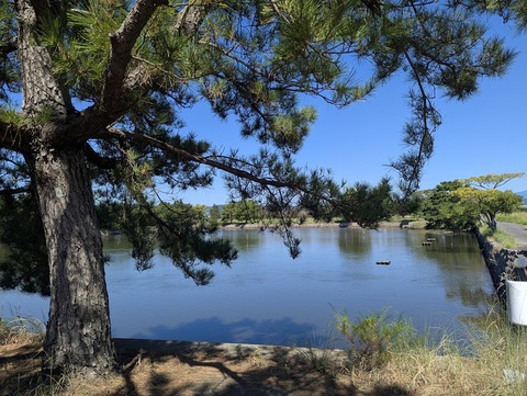 PXL_20251012_020711289