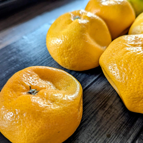 PXL_20241125_064651506~2