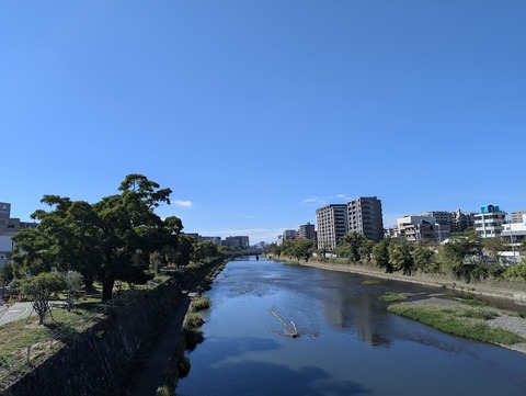 PXL_20241018_013512437