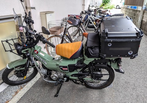 PXL_20241024_053509285-EDIT