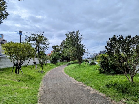 PXL_20241008_010909674~2