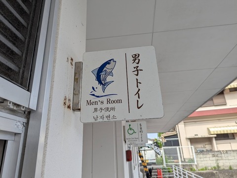 PXL_20251003_053418214