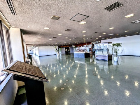 PXL_20241125_024200437~2