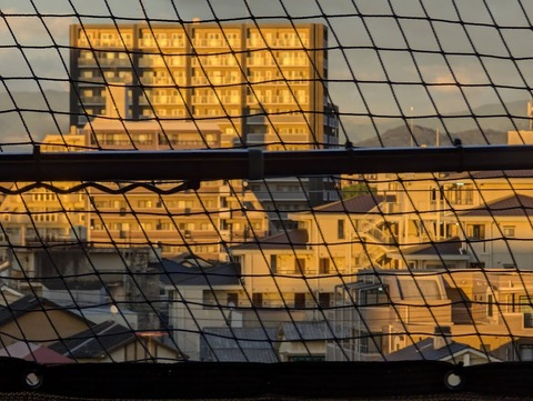 PXL_20241008_083954462