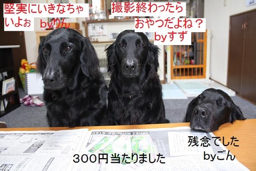 001 (2)¤¿¤«¤é¤¯¤¸