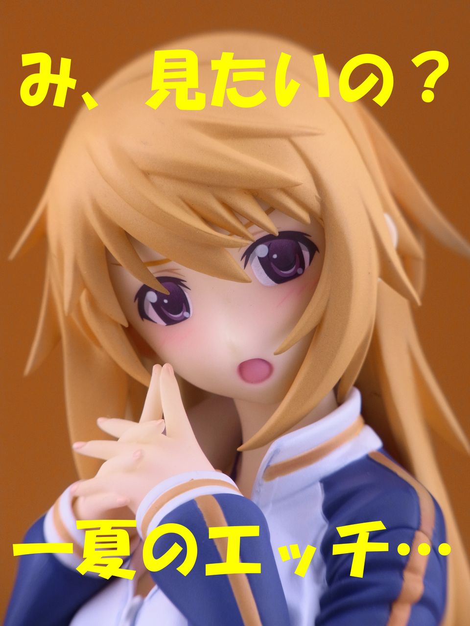 レビュー Alter シャルロット デュノア ジャージver Is インフィニット ストラトス ゴナアのぺろぺろフィギュ物語