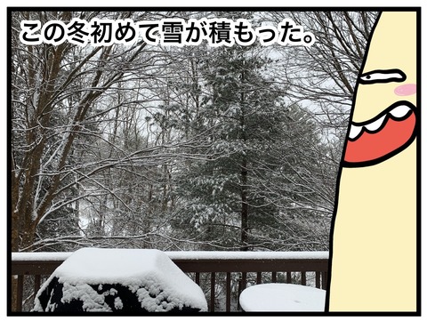 珍しく雪が積もった