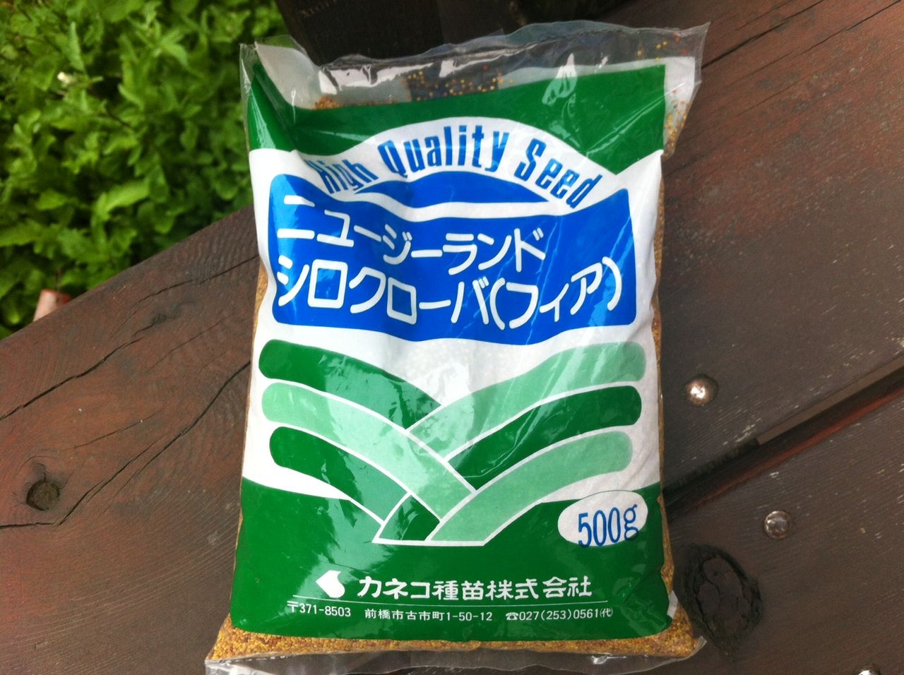 芝生からクローバーへ ギネスとパブと八ヶ岳と 芝生からクローバーへ ギネスとパブと八ヶ岳と