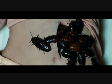グッドナイト マミー 年間３００本以上 ゴンちゃんのおすすめ映画 感想日記