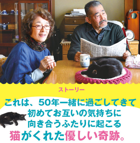 年間３００本以上 ゴンちゃんのおすすめ映画 感想日記 年07月03日